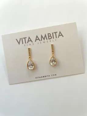 Crystal dropping delicate earrings