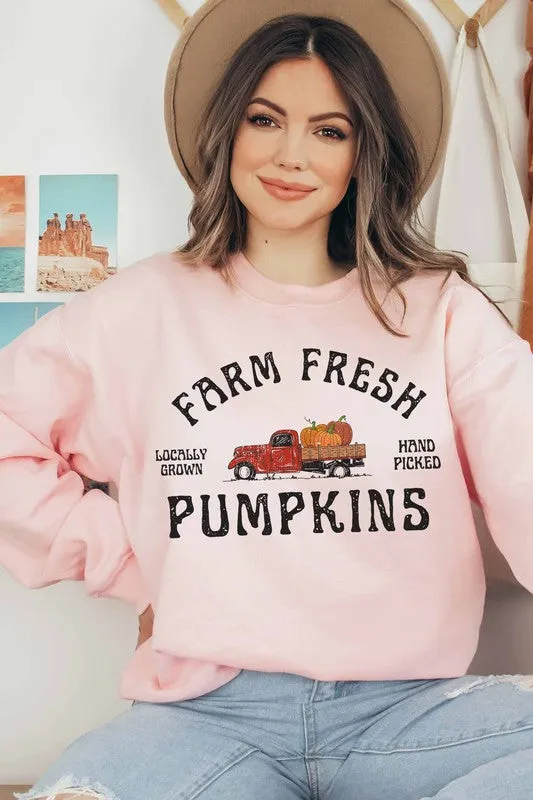 FARM FRESH PUMPKINS SWEATSHIRT PLUS SIZE