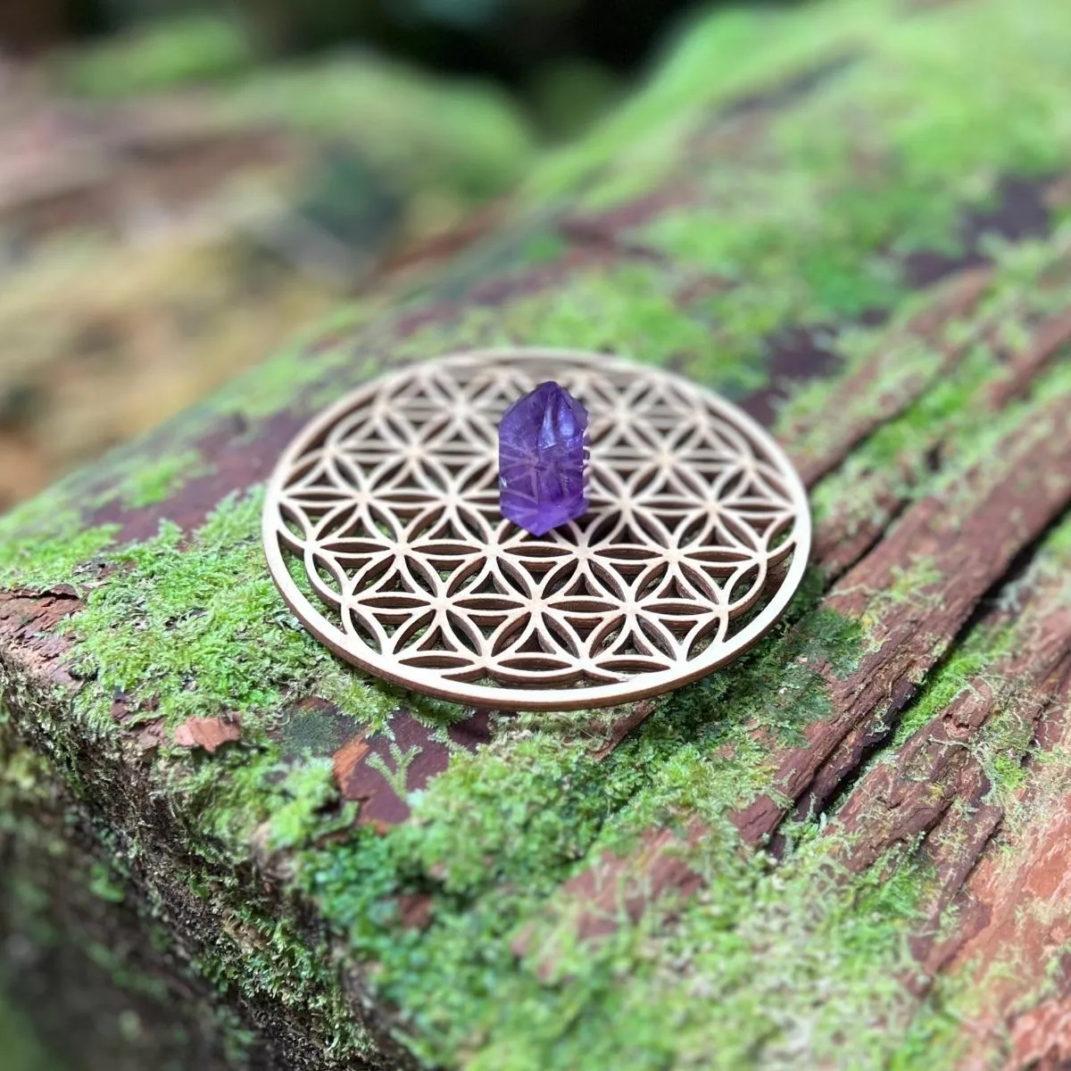 Flower of Life Crystal Grid Base