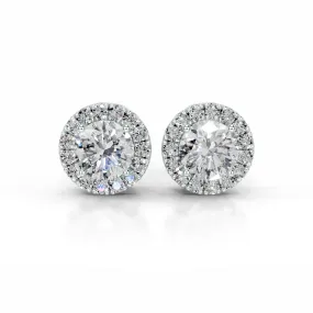 Isla Diamond Halo Earrings   (4.2 Carat) -14K White Gold