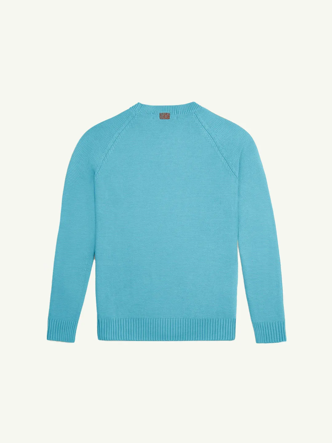 The Crewneck - Seafoam Green